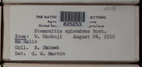 Image Associated With the Occurence